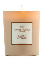 Bougie parfumée Ambre Intense 180g | PLANTES & PARFUMS