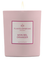 Bougie parfumée Mon Bel Oranger 180g | PLANTES & PARFUMS